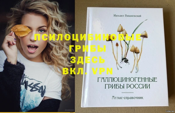 прущий лед Арсеньев