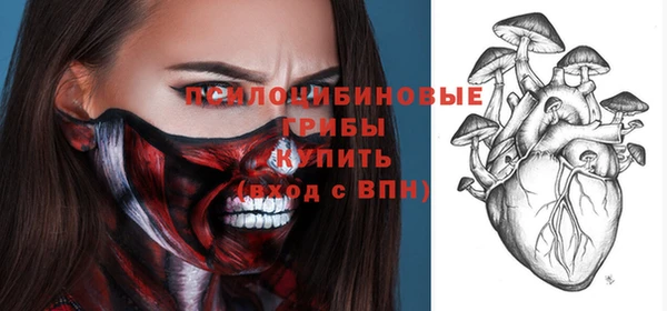 прущий лед Арсеньев