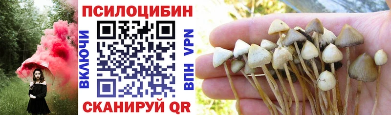купить наркотики цена  Владивосток  гидра сайт  Галлюциногенные грибы MAGIC MUSHROOMS 
